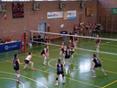 Volley C femminile: il Cigliano punta ai play-off Volley C femminile: il Cigliano punta ai play-off