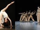 I ragazzi della Scuola di Danza vercellese Freedom Mad si riconfermano vincenti, I ragazzi della Scuola di Danza vercellese Freedom Mad si riconfermano vincenti,