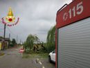 Villarboit, danni per la caduta di un albero Villarboit, danni per la caduta di un albero