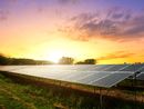 Fotovoltaico, il Consiglio di Stato riapre agli insediamenti nelle zone Doc, Docg, Igp e Dop