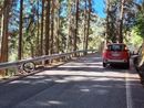 Sbalzato dalla bici sulla Panoramica Zegna: è grave Sbalzato dalla bici sulla Panoramica Zegna: è grave