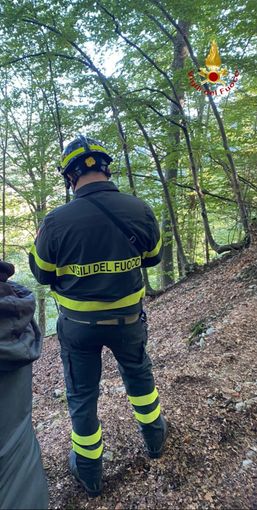 Scivola in un dirupo nei boschi di Scopello Scivola in un dirupo nei boschi di Scopello