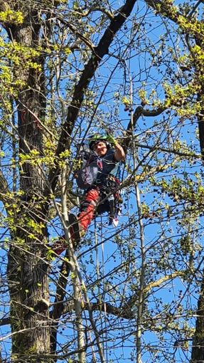 blob:https://publisher.morenews.it/1d1fc9f4-84d8-4004-b7d6-e48720a04093