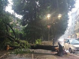 Vercelli, via XX Settembre