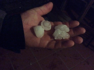 Da Facebook: danni a Tricerro per la grandine Da Facebook: danni a Tricerro per la grandine