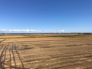 Prarolo, campi allagati Prarolo, campi allagati