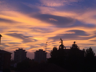 Foto Antonella Parisi (da Facebook)