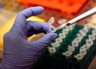 Cancro al polmone, studio italiano scopre meccanismo di resistenza all'immunoterapia