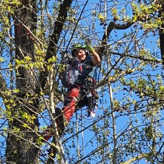 blob:https://publisher.morenews.it/1d1fc9f4-84d8-4004-b7d6-e48720a04093