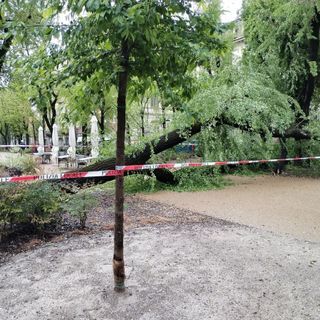 L'area transennata del viale