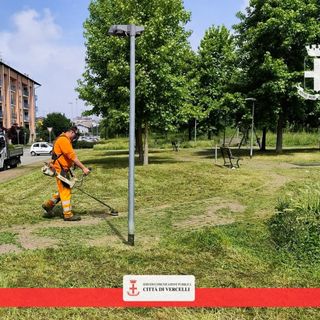 Verde, il piano degli interventi della settimana