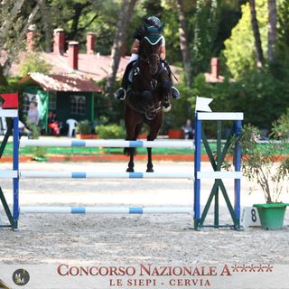 Ottimi piazzamenti per l'amazzone vercellese Adelaide Bremide