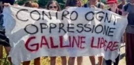 Arborio, denunce e 21 fogli di via dopo il presidio contro il maxi allevamento. In arrivo un'interrogazione parlamentare