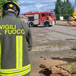 Via Bertinetti, cade un albero sulla strada