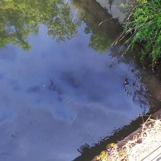 Idrocarburi nelle acque del Cervetto: Arpa e Asm a caccia del responsabile