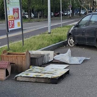 Sabotava la colonia felina, denunciata un'anziana