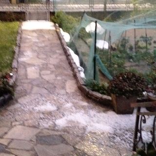 Coldiretti dopo la grandinata: «In alcune zone perso il 50% del raccolto»