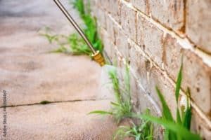 Glifosato, Pd e lista civica all'attacco: «Piano lacunoso, l'amministrazione cambi idea»