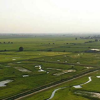 Fai Giovani, alla Cascina Oschiena per un evento sulla biodiversità