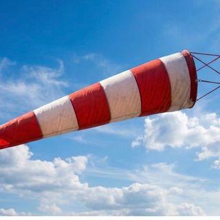 Forte vento, attese raffiche fino a 70 chilometri l'ora: parchi chiusi in città