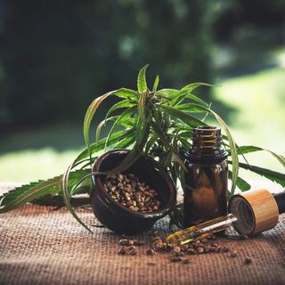 CBD: quantità, dosaggi e controindicazioni per un’assunzione sicura ed efficace