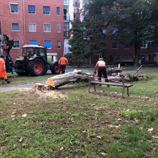 Delitto del Concordia: dall'autopsia gli ultimi riscontri