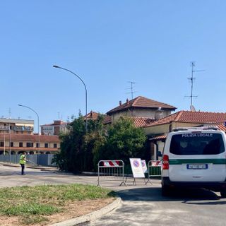 La zona del ritrovamento di alcune altre carcasse