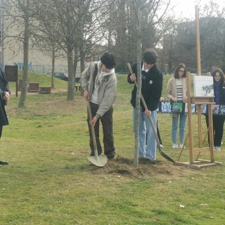 L'albero dei Giusti per Armin Wegner, testimone del genocidio degli Armeni - foto