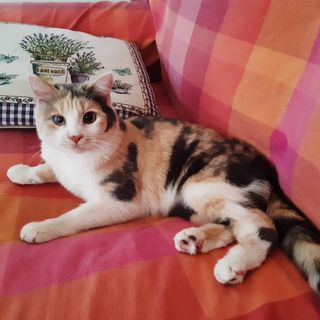 Sos per Lunetta: non torna a casa da giovedì