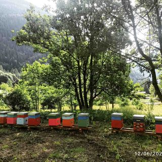 A Gattinara la prima oasi della biodiversità della provincia