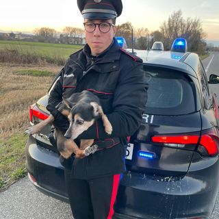 All'inseguimento di Lady, sperduta sulla provinciale