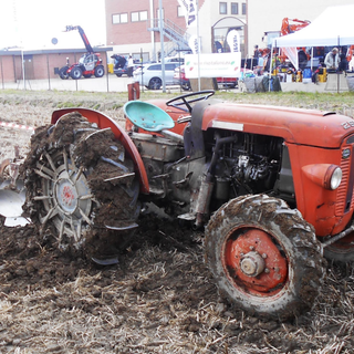 Immagini della Fiera in campo edizione numero 45