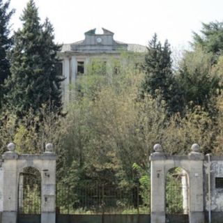 Rinasce il parco della Bertagnetta: 40mila metri quadri di bosco cittadino