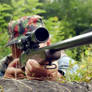 Sparava agli uccellini: denunciato bracconiere