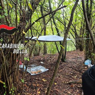 Spaccio di stupefacenti nei boschi, blitz dei reparti speciali dei Carabinieri a Masserano