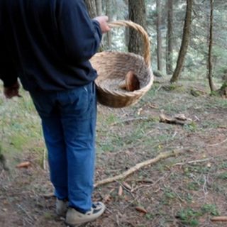 Incidenti a raffica tra i cercatori di funghi: i consigli del Soccorso Alpino