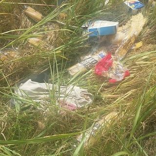 Cibo (dei pacchi aiuto) abbandonato nei prati