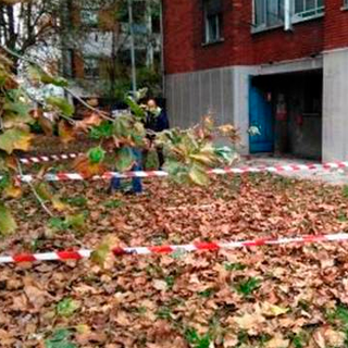 Il giardinetto teatro dell'aggressione