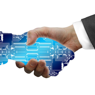 Servizi al cittadino sempre più digitali: cosa sta cambiando nella P.A.