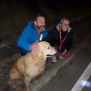 «Ritrovato Adone, grazie a tutti»