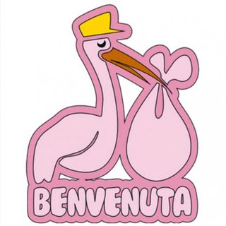 Fiocco rosa per la consigliera Babudro: è nata Diana Sofia