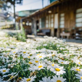 5 stili di arredamento per il giardino