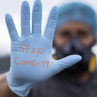 Il virus nel vercellese: 302 contagi e 254 guariti