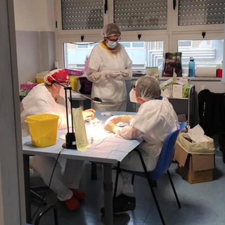 Vaccinazioni Covid: partiti i richiami tra il personale sanitario. V-day per gli over 80