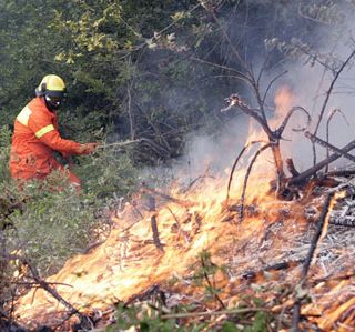 Aree interne: 800mila euro alla Valsesia contro il rischio degli incendi boschivi