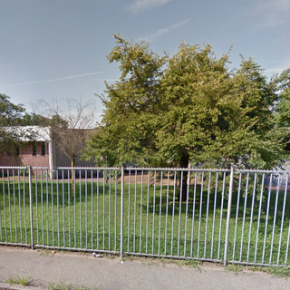 Torna il gifosato (dannoso per la salute) nelle aree verdi cittadine