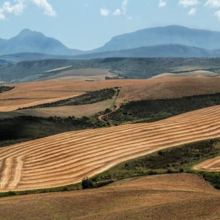 Cosa bisogna sapere prima di acquistare un aratro?