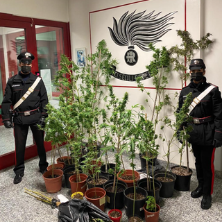 Fermato con la "droga di Natale"