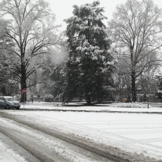 Neve su città e provincia - AGGIORNAMENTI E FOTO