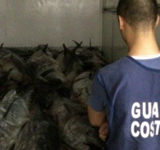 Vendevano pesce mal conservato: dieci sanzioni a locali vercellesi